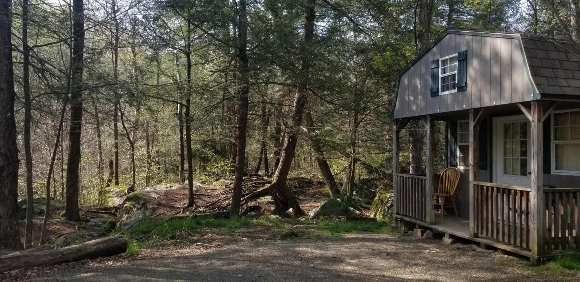 Abrams Creek Campground Mount Storm Eksteriør billede