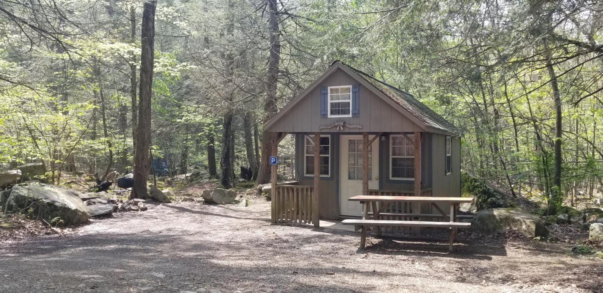 Abrams Creek Campground Mount Storm Eksteriør billede