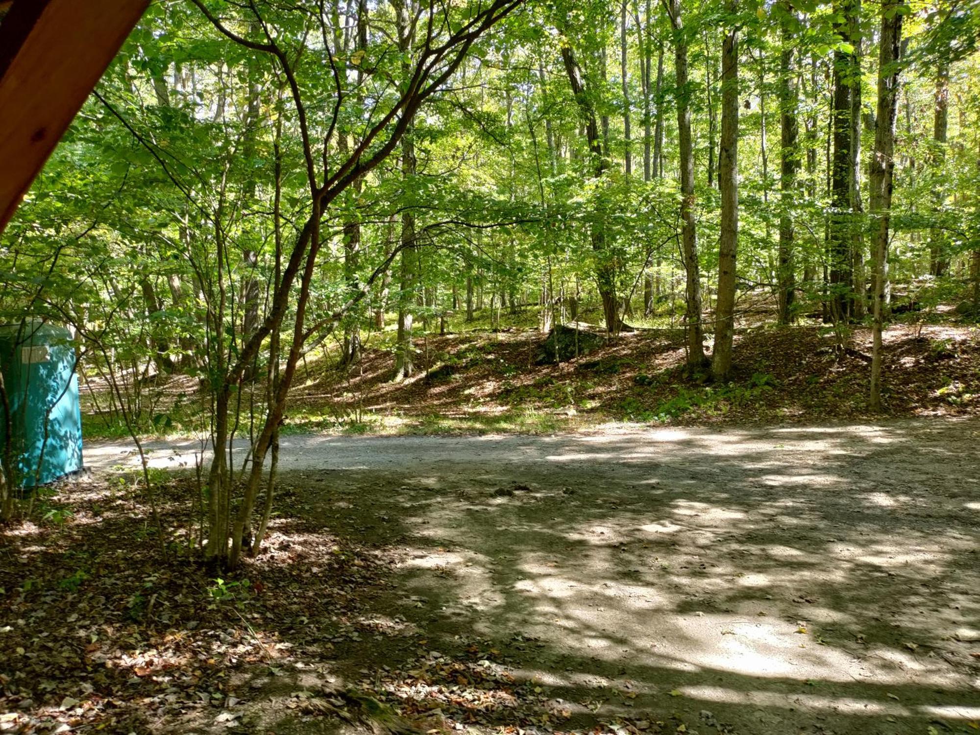 Abrams Creek Campground Mount Storm Eksteriør billede