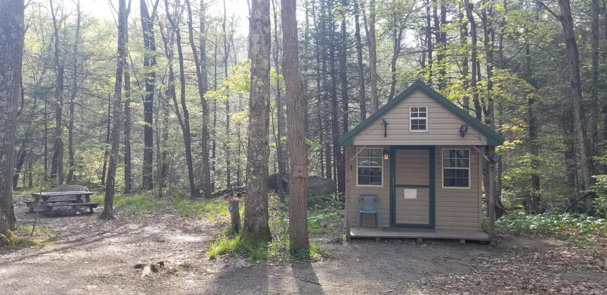 Abrams Creek Campground Mount Storm Eksteriør billede