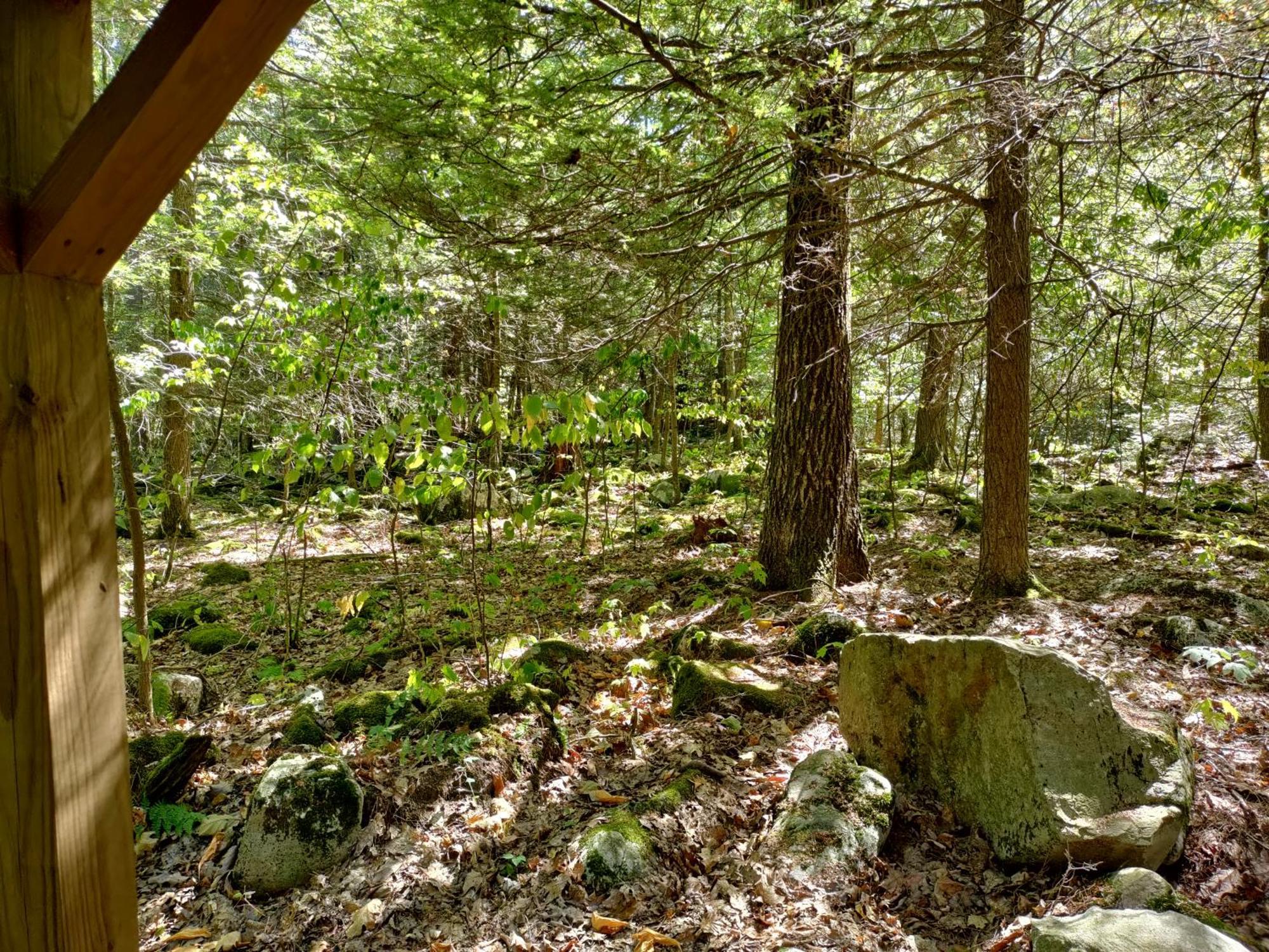 Abrams Creek Campground Mount Storm Eksteriør billede