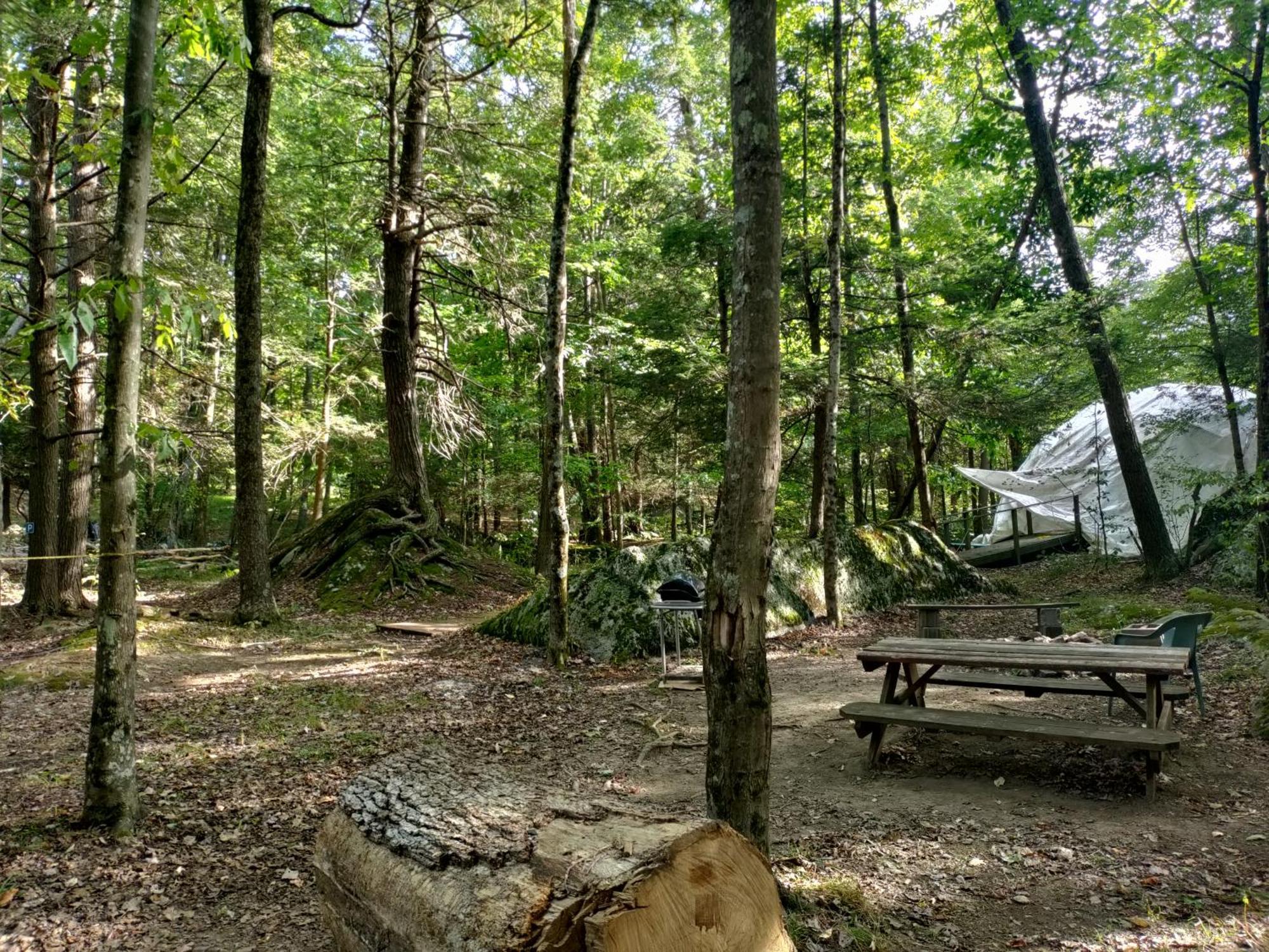 Abrams Creek Campground Mount Storm Eksteriør billede